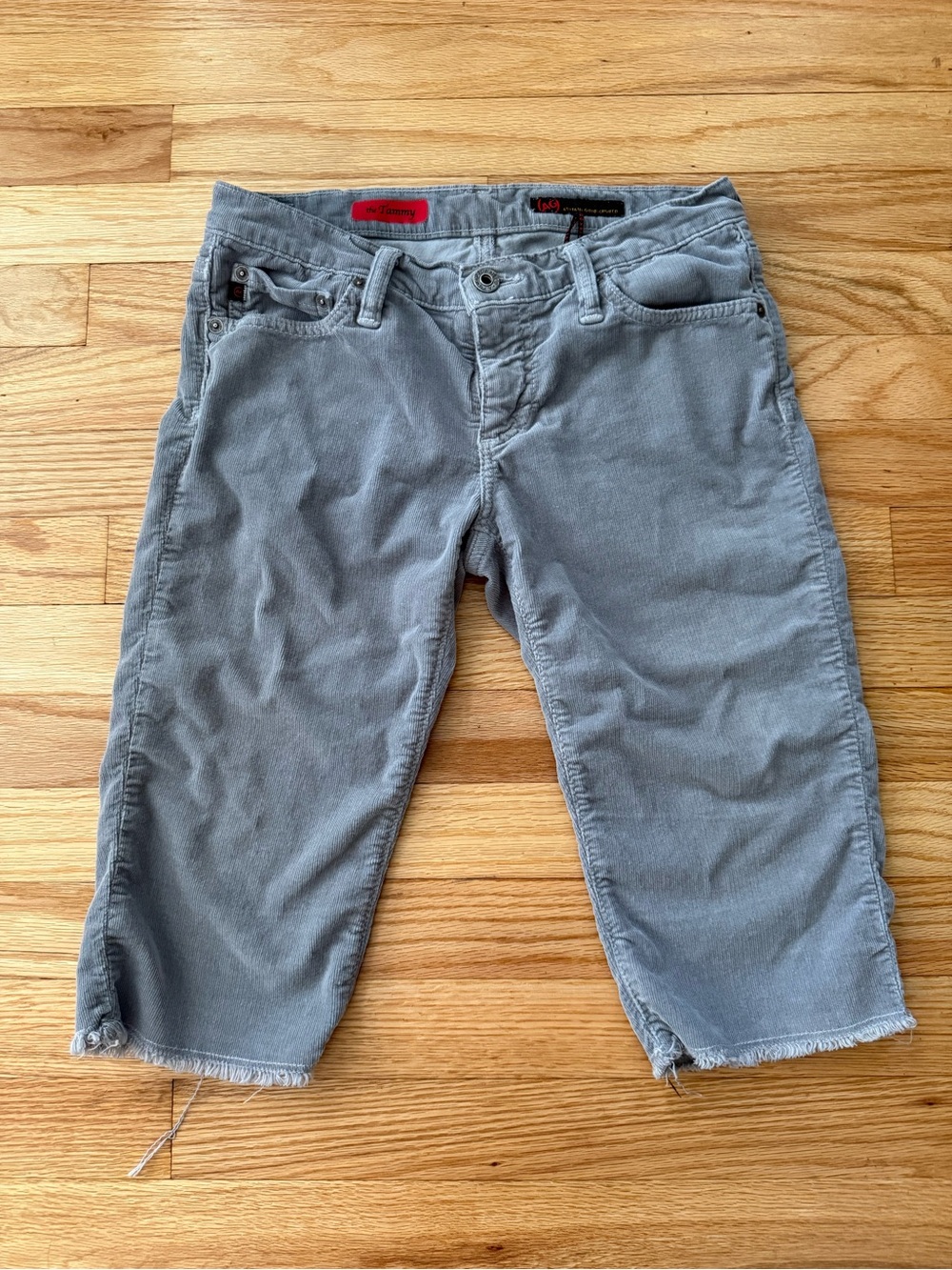 AG Adriano Goldschmied “The Tammy” Vintage Y2K Gray Lightweight Corduroy Shorts